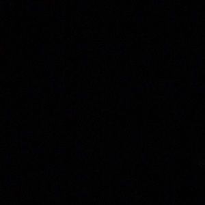 Meet your Posher, Ziona